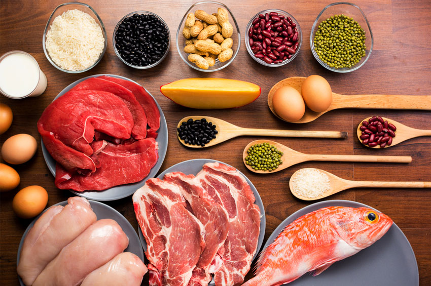 Os vários tipos de proteínas e seus benefícios para as pessoas