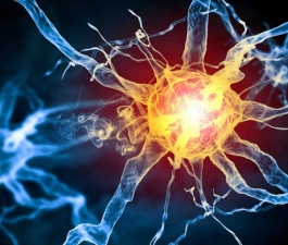 Como saber se é epilepsia?