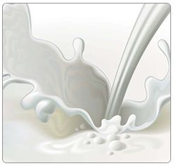 Whey Protein