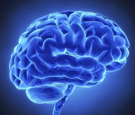 Setembro: mês de conscientização sobre a Epilepsia 