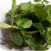 Conheça algumas plantas medicinais que fazem toda a diferença