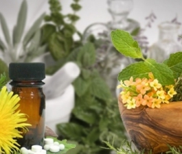 Fitoterapia: o crescimento da área para tratamentos como má digestão