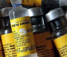 7 Mitos e verdades da febre amarela