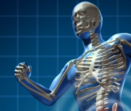 Osteoporose: a solução está no equilíbrio alimentar  