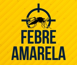 Santa Joana explica: tudo o que você precisa saber sobre Febre Amarela