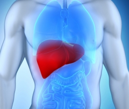 Hepatite A: o vírus silencioso
