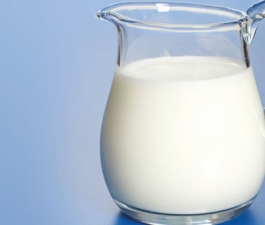 5 motivos para manter leite e derivados na dieta durante a fase adulta 