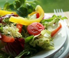 Entenda as diferenças entre o veganismo e o vegetarianismo 