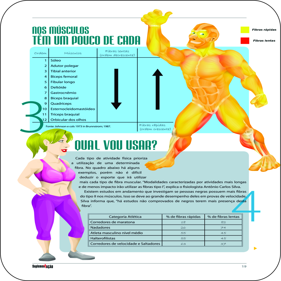 Entenda tudo sobre: Fibras Musculares