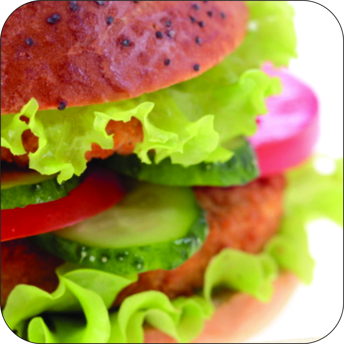 Suplementação Gourmet: Hambúrguer Proteico