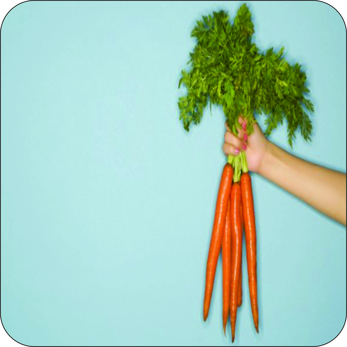 15 alimentos que vão turbinar sua saúde