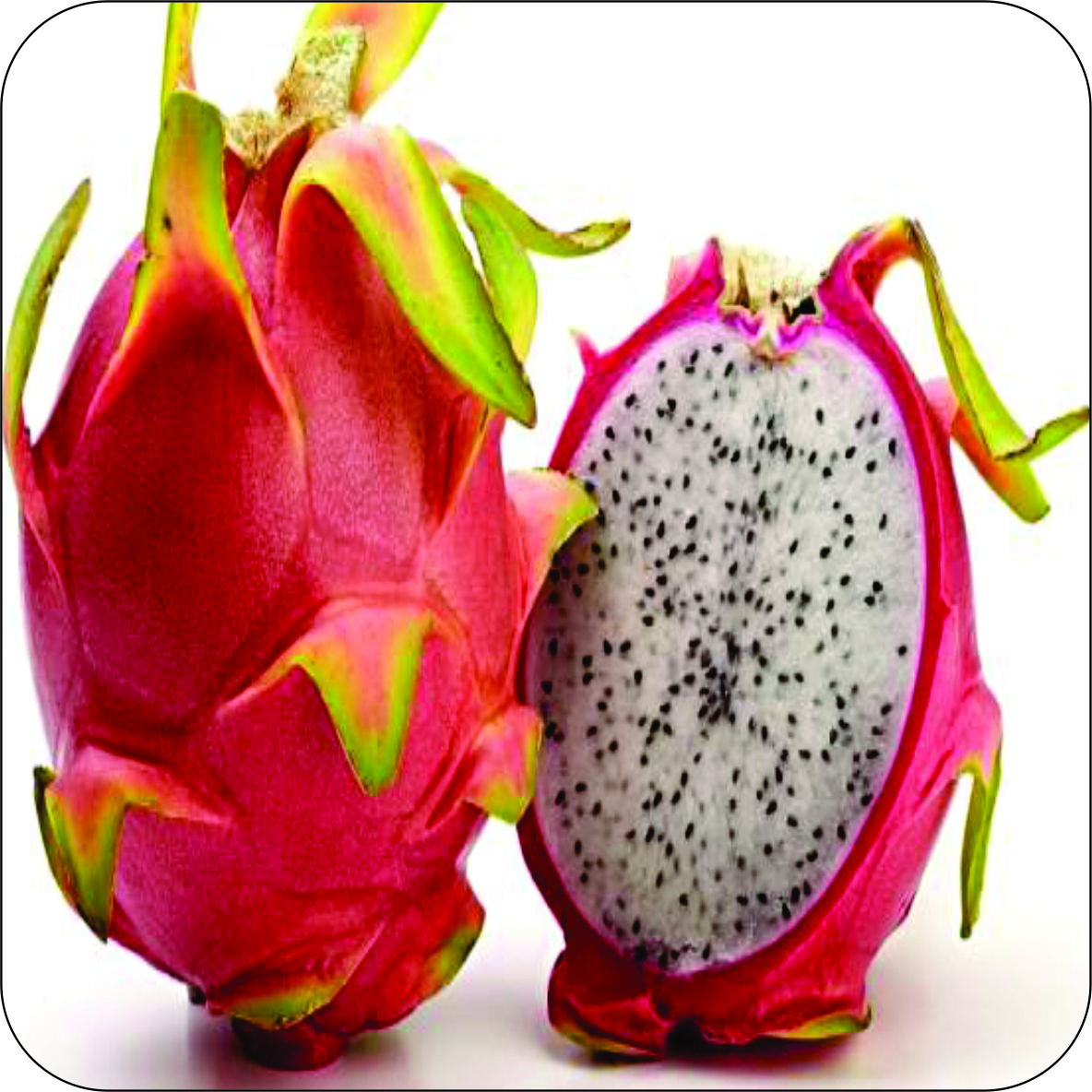 Conheça 10 frutas exóticas que turbinam sua saúde