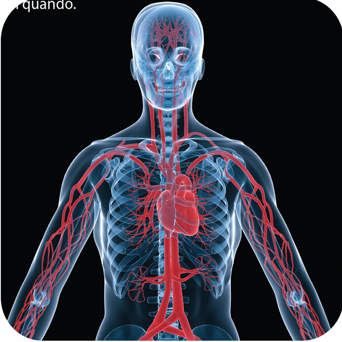 Evite doenças circulatórias: faça check-up vascular