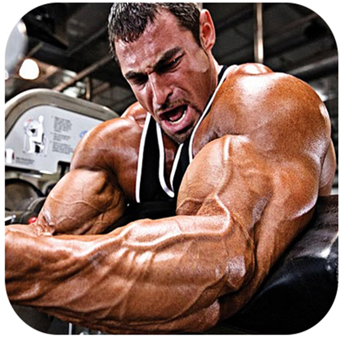 Cinco dicas para turbinar o seu treino