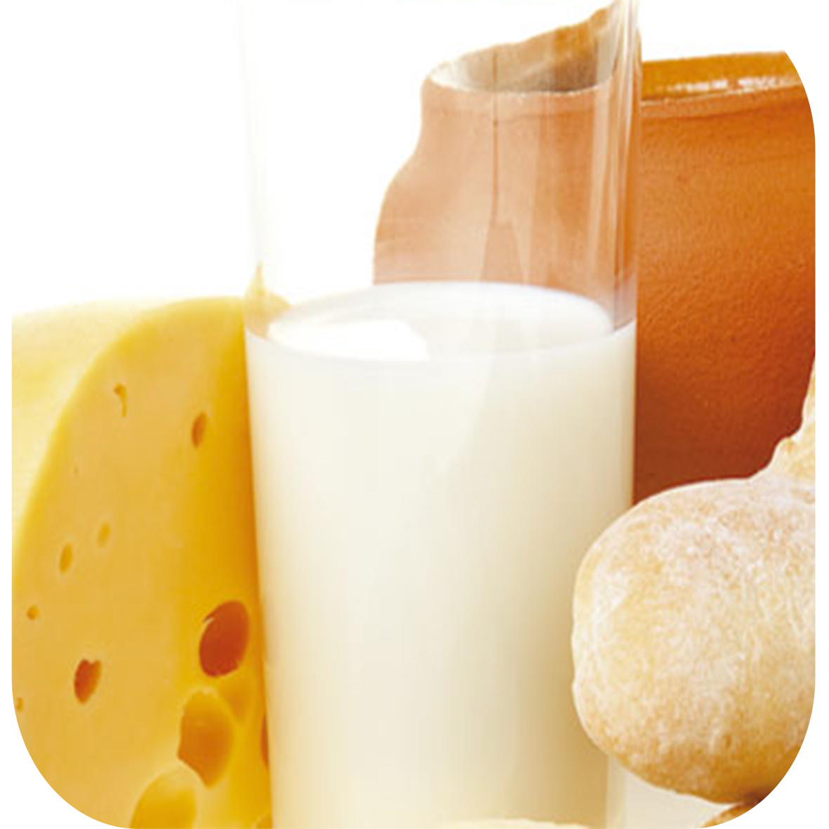  Nutrição ideal para fortalecer os ossos