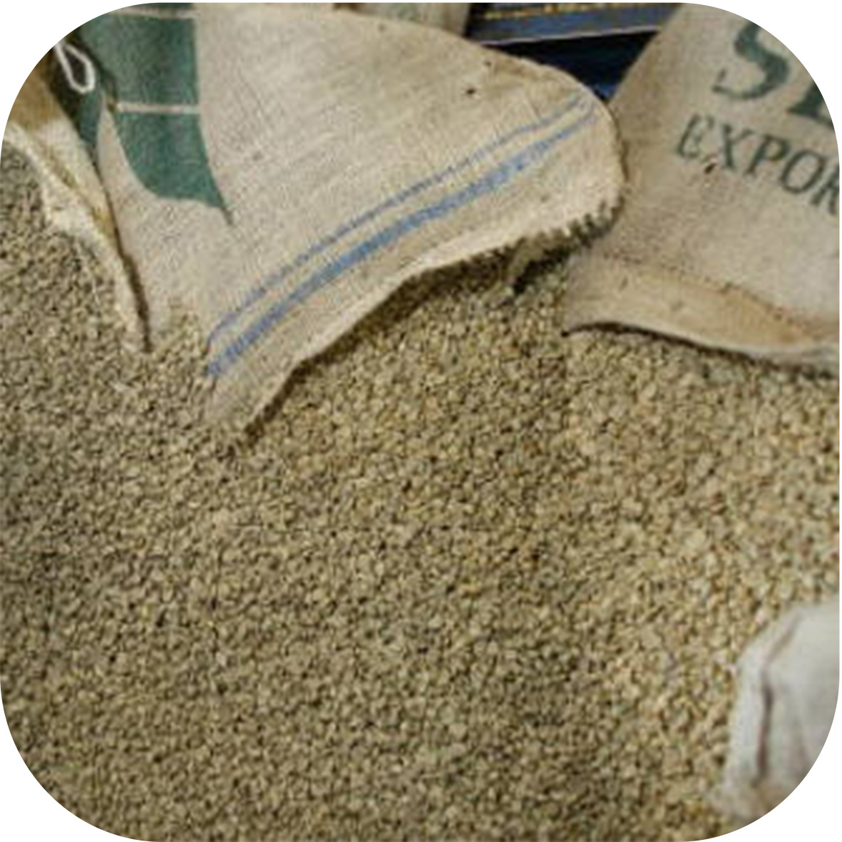 Café verde, um novo aliado na dieta