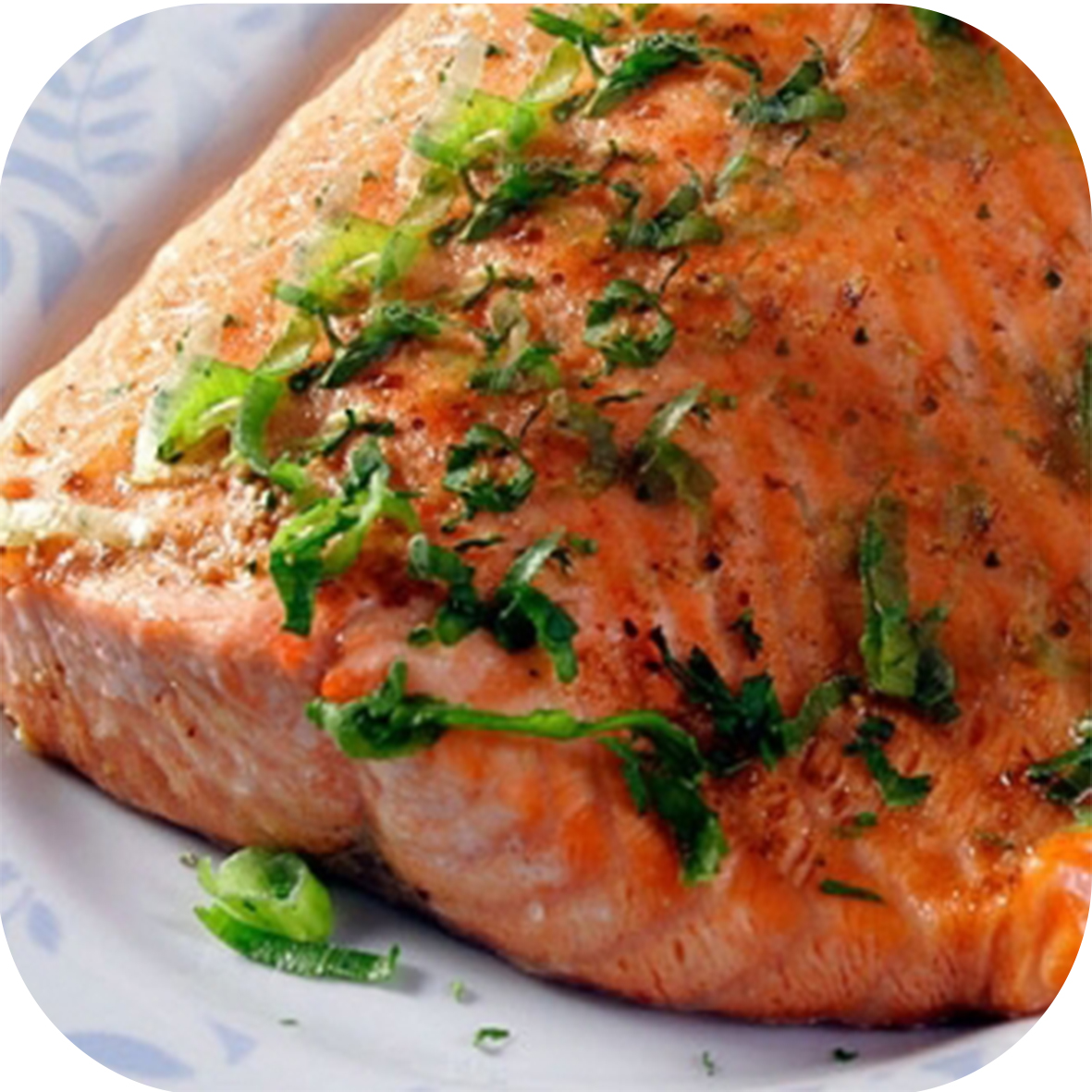 As melhores espécies de peixes para a sua saúde