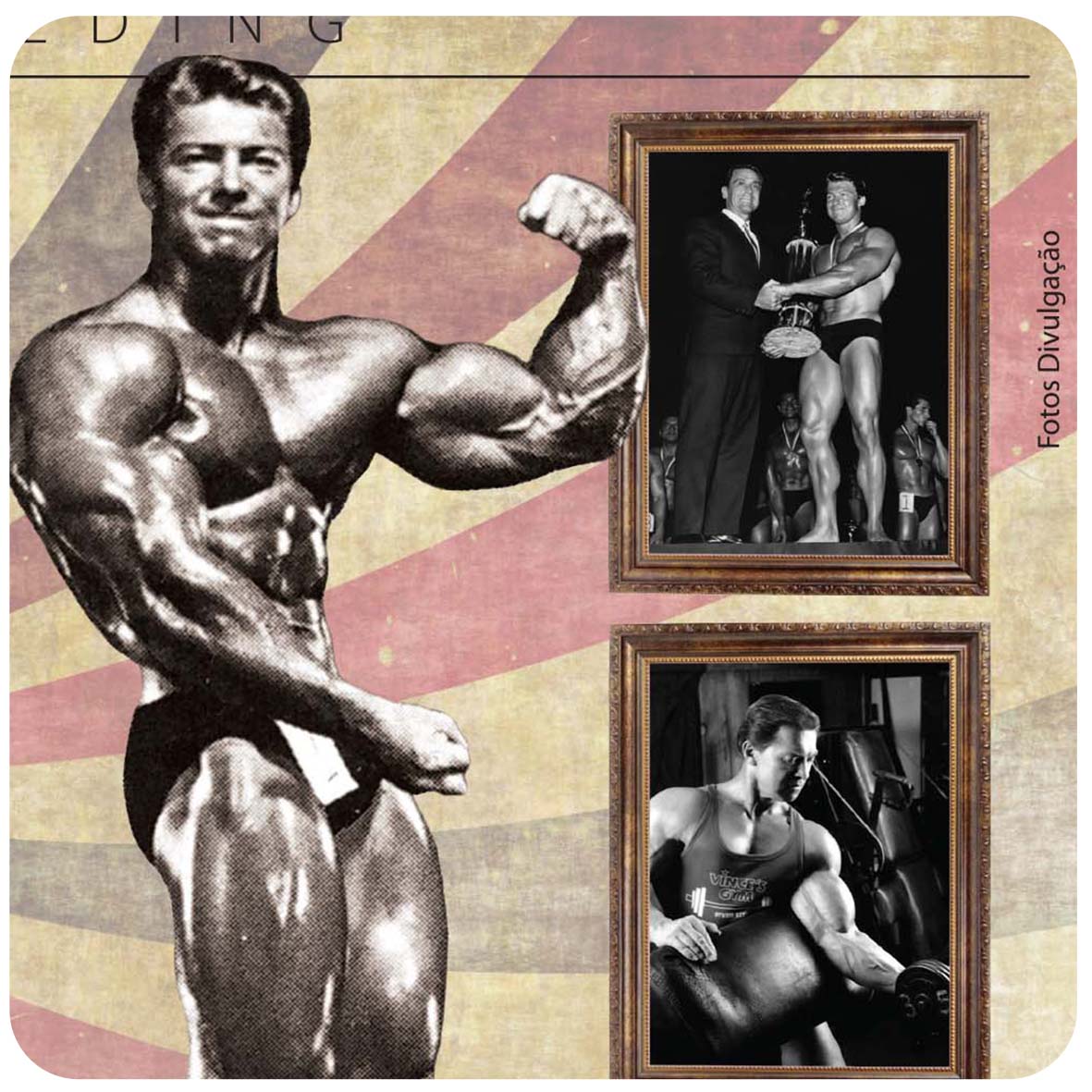 Mitos do BodyBuilding: Larry Scott 