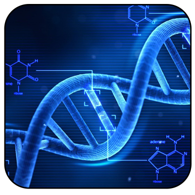 Nutrição para emagrecer com base no DNA