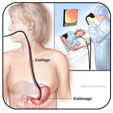 25 de julho - Dia Nacional do Endoscopista: endoscopia requer cuidados na hora do procedimento