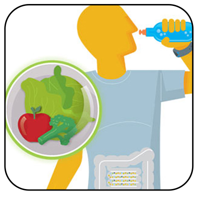 Controle o consumo calórico sem prejudicar o funcionamento do intestino