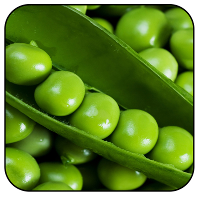 Conheça as novas proteínas vegetais