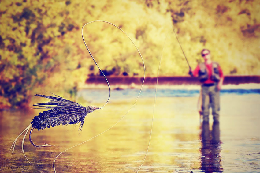 Prepare-se para pescar