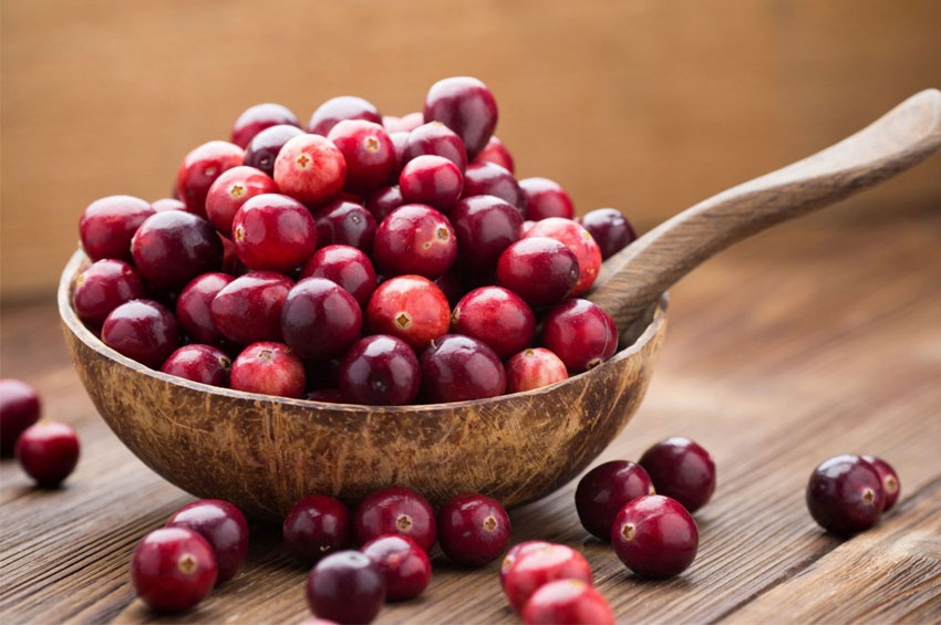 Infecção urinária? Cranberry ajuda!