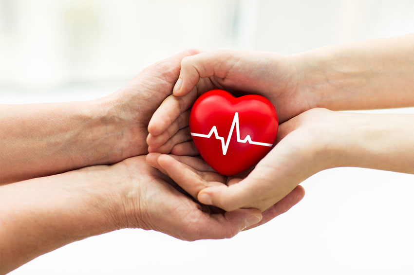 À espera de um transplante: mitos e verdades sobre a doação de medula óssea