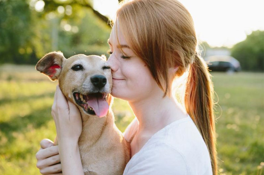 Pet: Disfunção cognitiva em pets