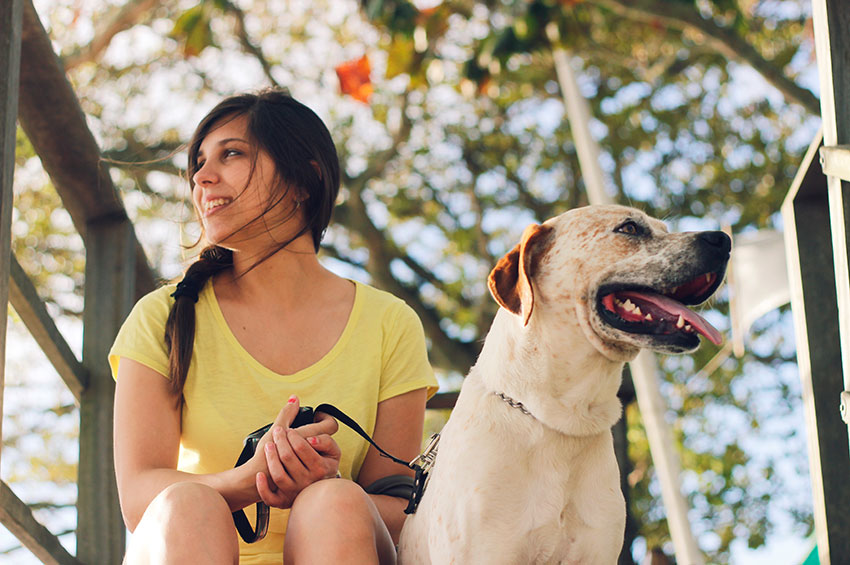 Cuidados no pré e pós-operatórios para a castração em cães