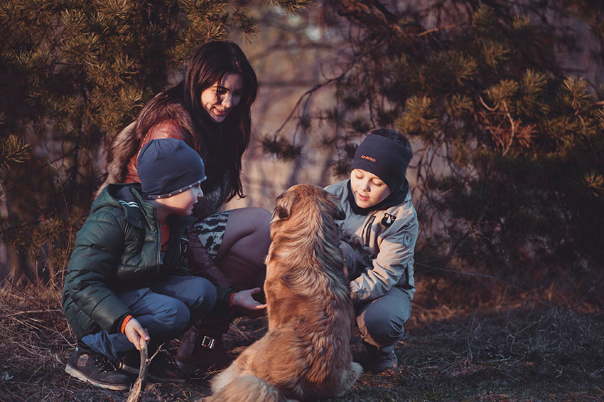 Dicas para melhorar a relação das crianças com os pets