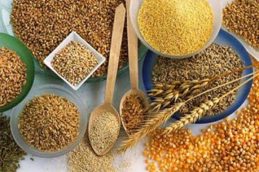 Grãos integrais melhoram circulação sanguínea ao favorecer bom funcionamento intestinal