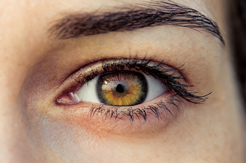 ADJ Diabetes Brasil promove campanha nacional sobre o controle do diabetes e a prevenção da retinopatia diabética 