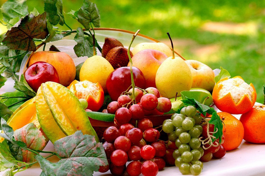 Por que consumir alimentos orgânicos?