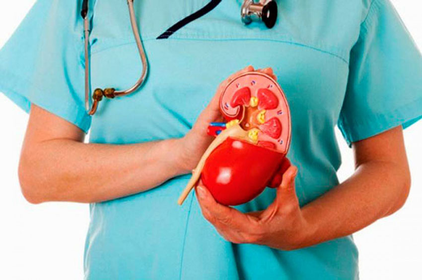 90% dos estreitamentos das artérias renais podem reduzir ou impedir a chegada de sangue ao rim afetado