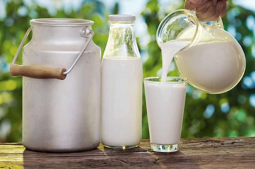 Leite vegetal x leite animal: Conheça os benefícios para a saúde  