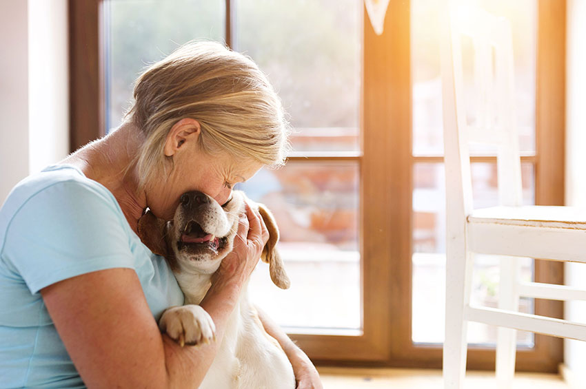 Pet Terapia: Cães auxiliam crianças e adultos com deficiências