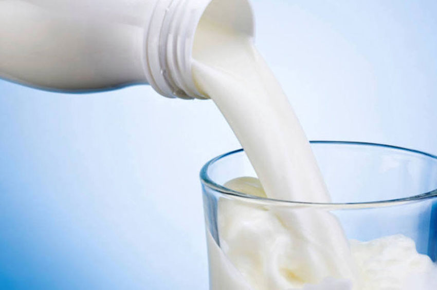 Qual a diferença entre lactose e caseína? 