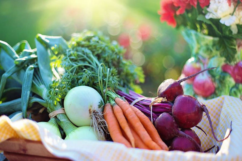 5 dicas nutricionais para quem deseja se tornar vegano 