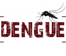 Dengue pode ser contraída quatro vezes