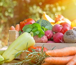 Alimentos saudáveis potencializam imunidade no verão