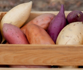 Batata-doce versus atividade física