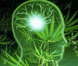 Canabinóides e seu uso em Neurologia? 