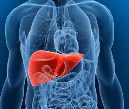 Dia mundial das Hepatites