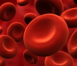 Dia Mundial da Hemofilia: Prática de esportes traz benefícios para pessoas com hemofilia