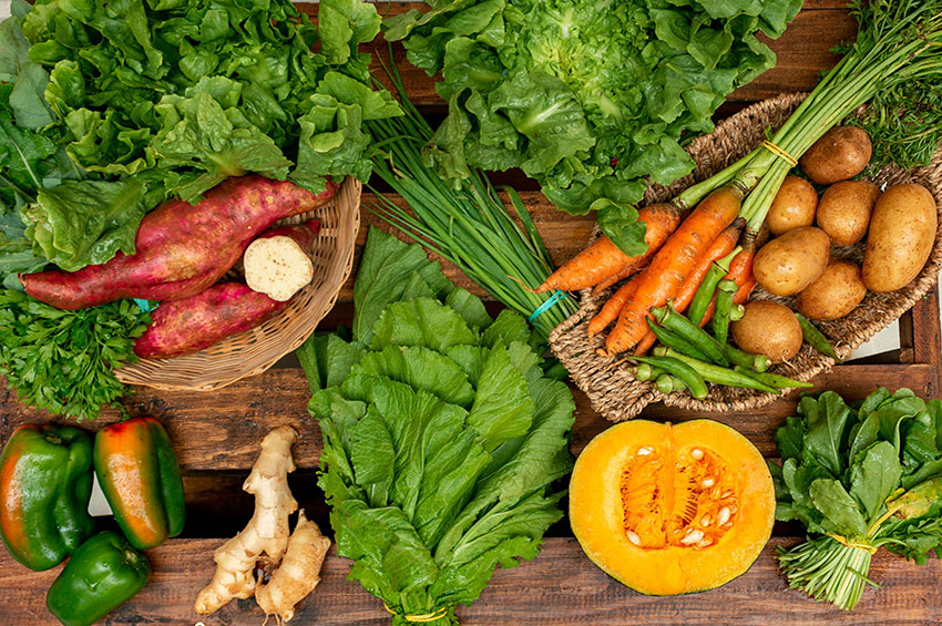 Alimentos Orgânicos: Cinco mitos e uma verdade que você deve saber