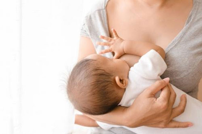 Artigo: Amamentação e a imunidade do bebê
