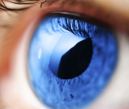 Risco de glaucoma cai 20% com alimentação adequada