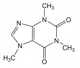 Palavra do Especialista: Cafeína e desempenho físico